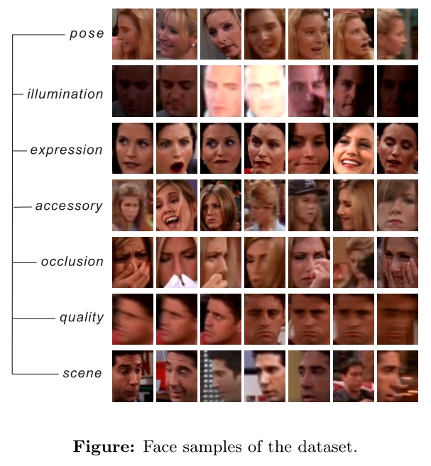 Face samples in the dataset